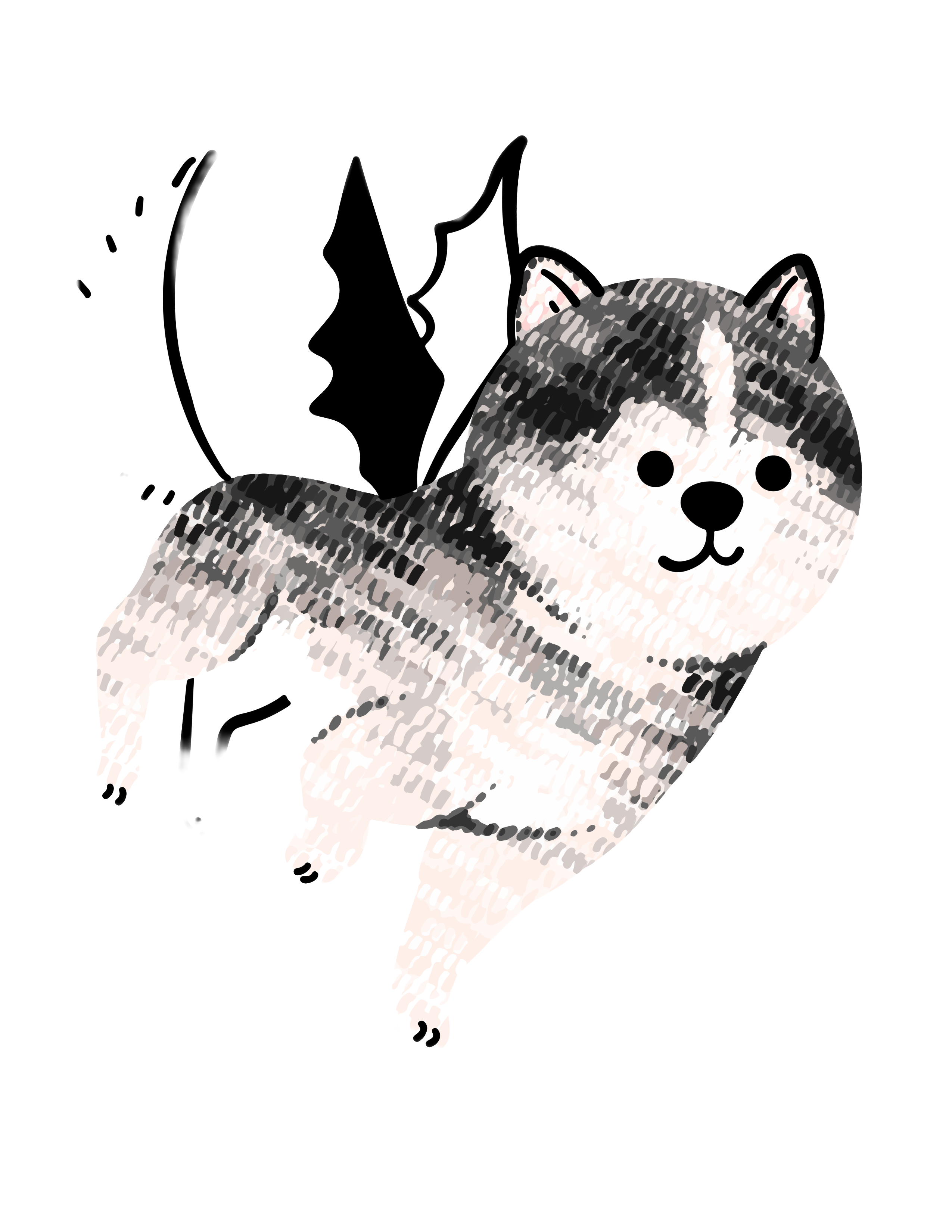 Husky with bat wings